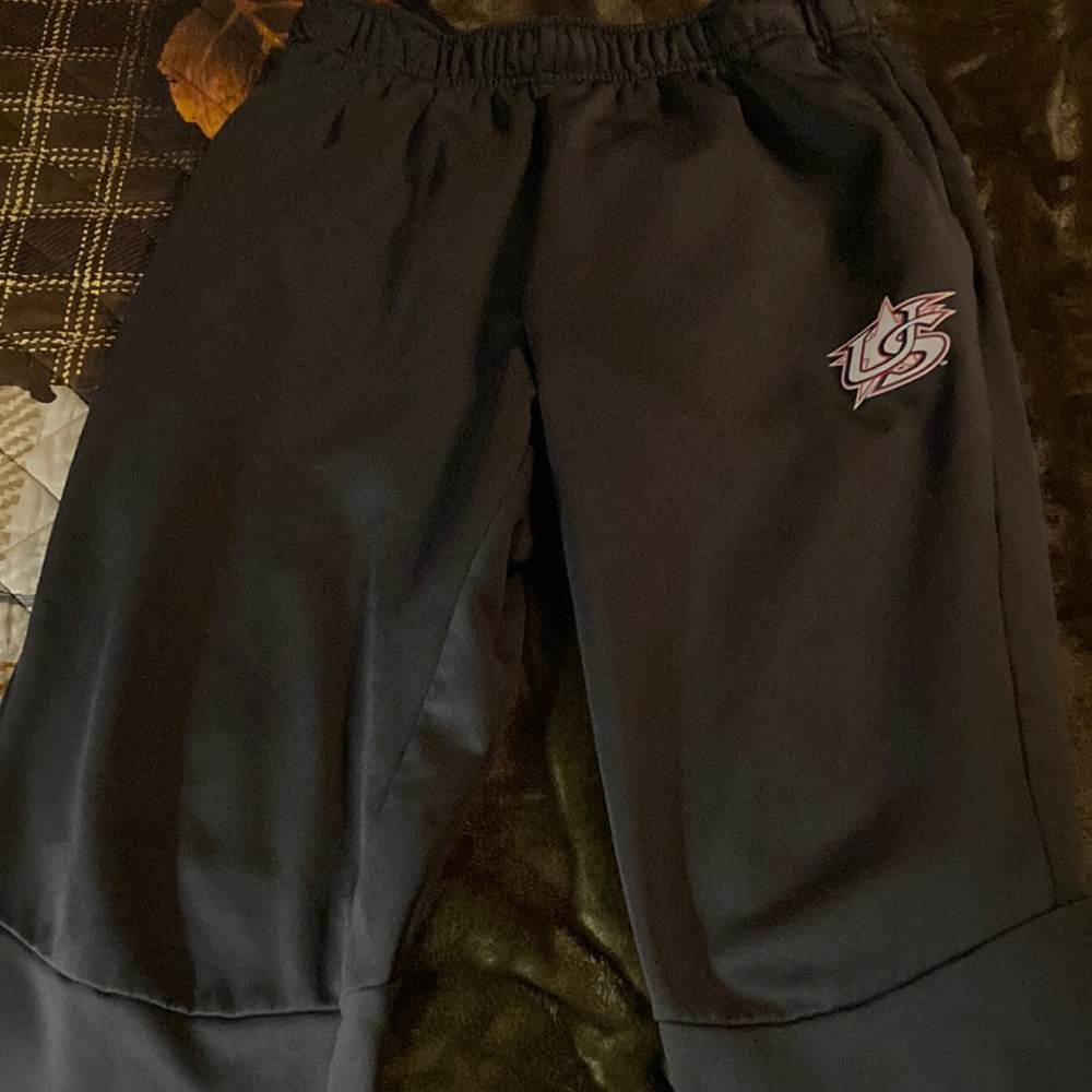 Nike USA baseball joggers